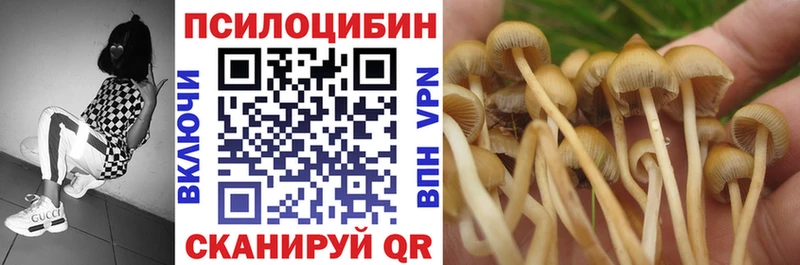 Купить закладки  Кораблино  Галлюциногенные грибы Magic Shrooms 